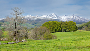 Assurance Mont-de-Marsan